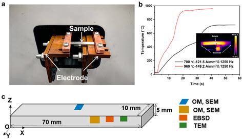 The effect of the electric pulse treatment on the microstructure 